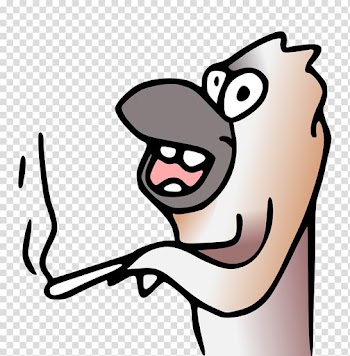 Graphics Illustration Cartoon Drawing, kookaburra transparent background PNG clipart