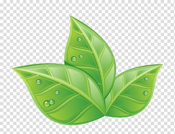 Graphics Illustration i , plants green transparent background PNG clipart