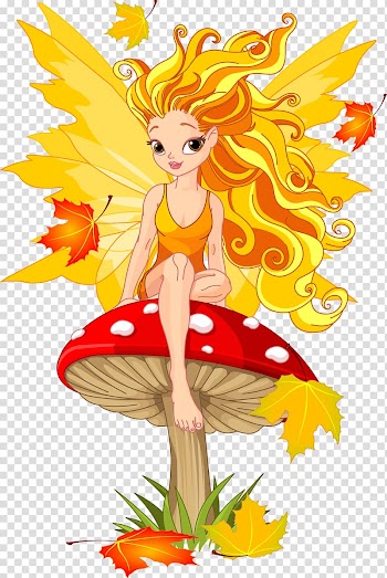 Graphics Mushroom Illustration , mushroom transparent background PNG clipart
