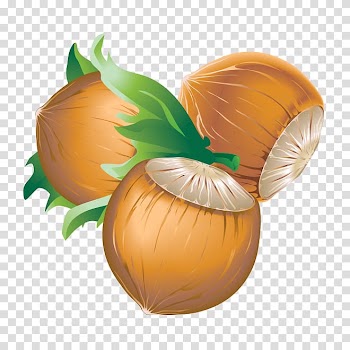 Graphics Portable Network Graphics Chestnut Encapsulated PostScript, cartoon nuts transparent background PNG clipart