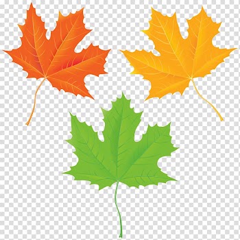 Graphics Portable Network Graphics, Raking leaves transparent background PNG clipart