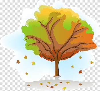 Graphics Season Drawing Tree , tree transparent background PNG clipart