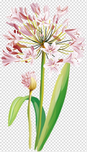 Graphics Watercolor painting Flower, flower transparent background PNG clipart