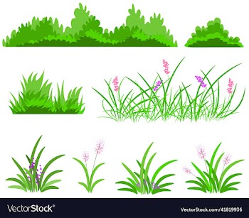 grass and bush set