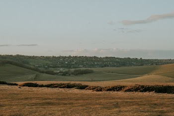Grass and Soil Field during Day
