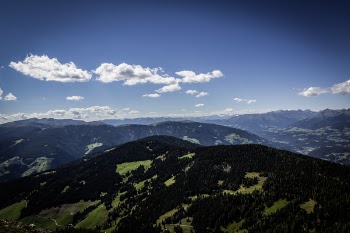 Grass and Tree Covered Mountains during Day