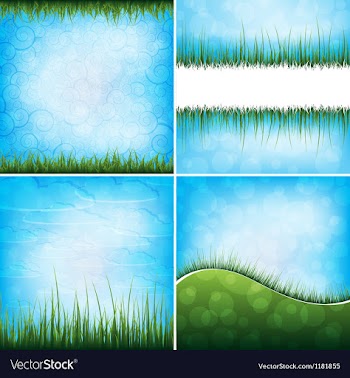 Grass backgrounds vector image