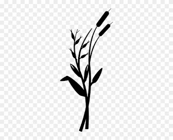 Grass Border Clip Art