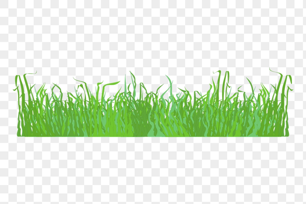 Grass border png sticker nature | Free PNG - rawpixel