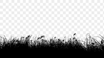 Grass bush png border nature | Free PNG - rawpixel