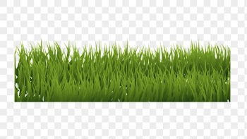 Grass bush png border sticker, | Free PNG - rawpixel