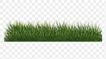 Grass bush png border sticker, | Free PNG - rawpixel