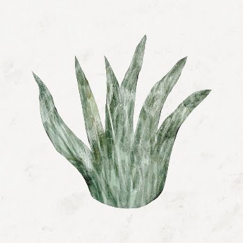 Grass bush shape, aesthetic green | Free Photo - rawpixel