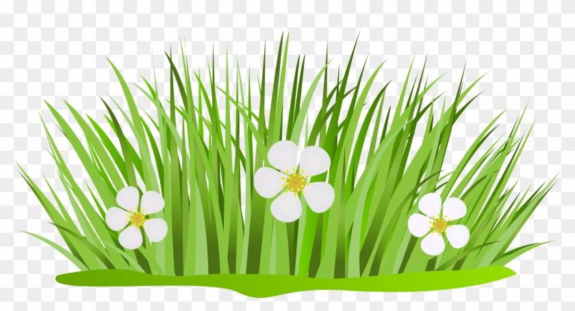 Grass Cartoon Png