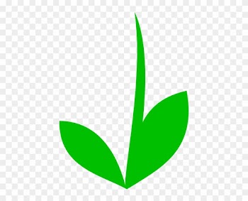 Grass Clip Art - Flower Stem Template