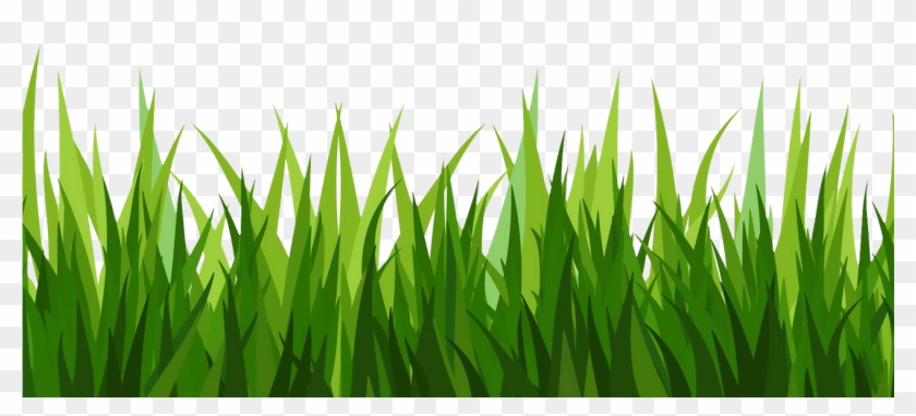Grass Clipart Image Green - Transparent Background Grass Clipart