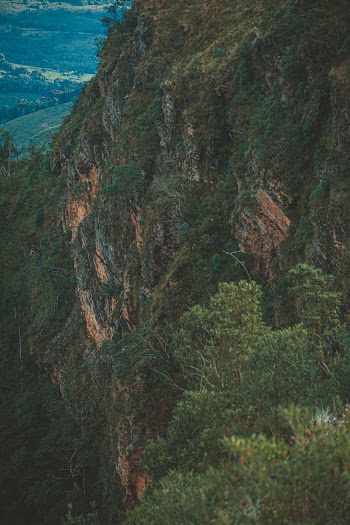 Grass Covered Mountains