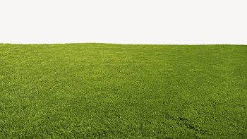 Grass field border collage element | Free PSD - rawpixel
