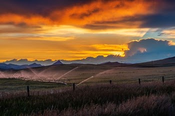 grass field during sunset