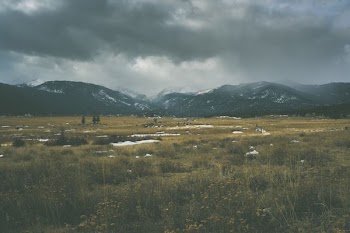 grass field near mountains