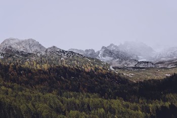 grass field near on mountain