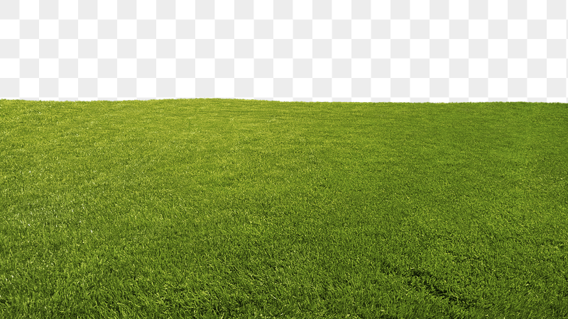 Grass field png border sticker, | Free PNG - rawpixel
