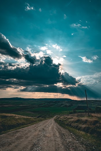 Grass Field Road Scenery