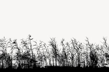 Grass field silhouette border, nature | Free PSD - rawpixel