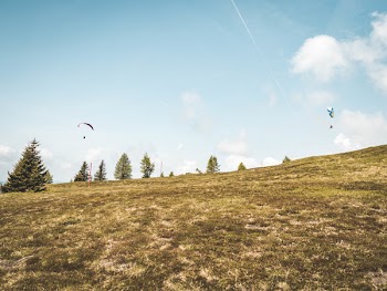 Grass Field Under Blue Sky