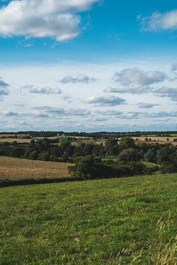 Grass Field Under Cloudy Sky