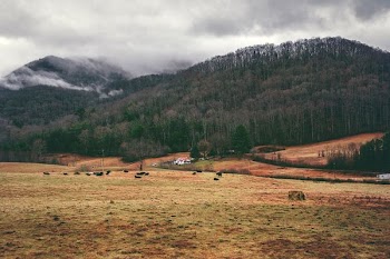 grass field under cloudy sky during daytime