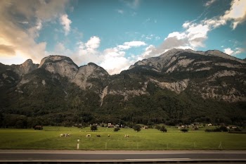 Grass Field With Background of Mountains