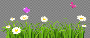 Grass flower jpg library library - techFlourish collections
