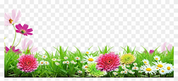 Grass Flower, Transparent Stickers, Picsart, Frames, - Grass ...
