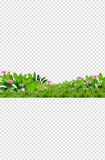 , Grass, flowers, green, flower transparent background PNG clipart