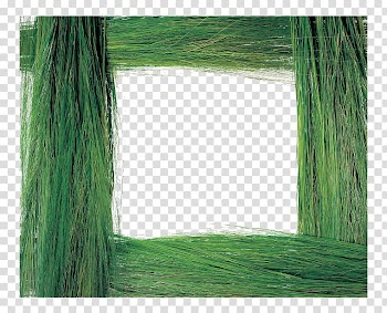 Grass frame Plant, Green Frame transparent background PNG clipart