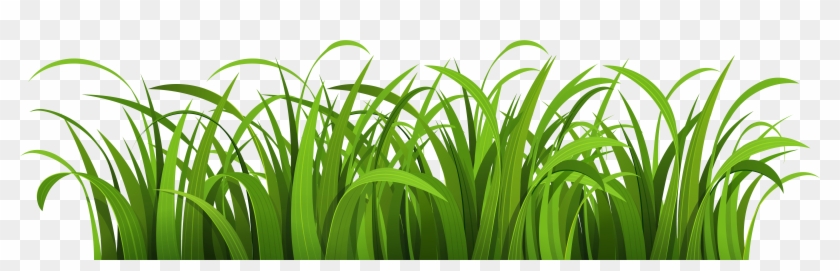 Grass - Green Grass Vector Png