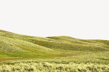 Grass hills collage element, beautiful | Free PSD - rawpixel
