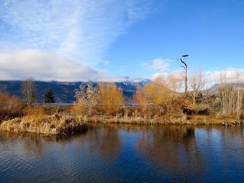 Grass Land Beside Body of Water and Mountain Under Blue Sky during Daytime
