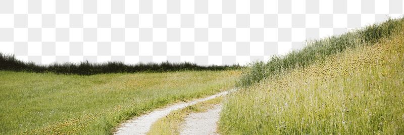 Grass landscape png sticker, transparent | Free PNG - rawpixel