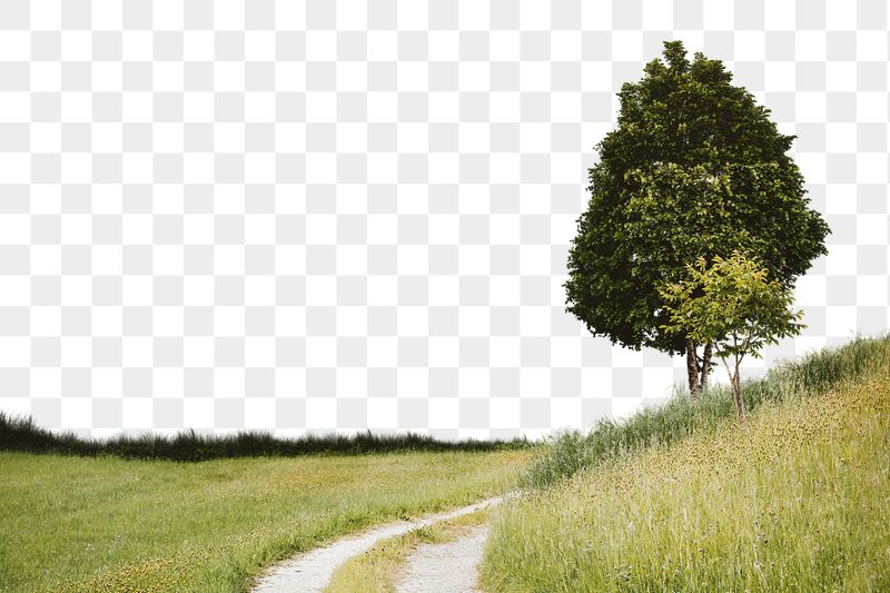Grass landscape png sticker, transparent | Free PNG - rawpixel
