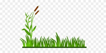 Grass Lawn Green Cat O' Nine Tails Plants - Grass Border Clipart