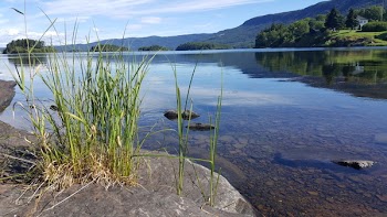 Grass Near Body of Water