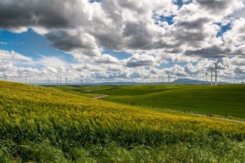 grass plain under blue sky