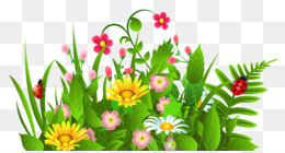 Grass PNG & Grass Transparent Clipart Free Download - Easy English ...