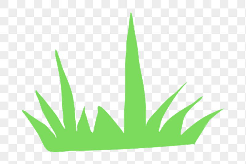 Grass png sticker, nature doodle, | Free PNG Illustration - rawpixel