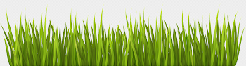 Grass PNG Transparent Grass.PNG Images. | PlusPNG