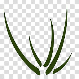 Grass templates, five green lines illustration transparent background PNG clipart