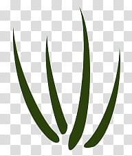 Grass templates, four green lines illustration transparent background PNG clipart