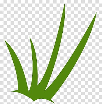 Grass templates, green grass animated illustration transparent background PNG clipart